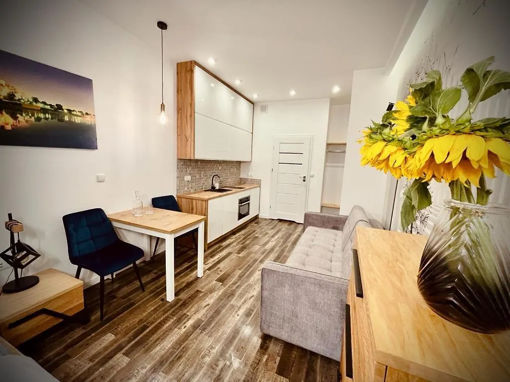 Mariacki Apartment By Vsi Krakow